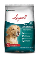 Loyall Adult Maintenance