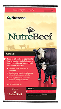 Nutrebeef Cubes