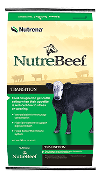 Nutrebeef Transition Feed