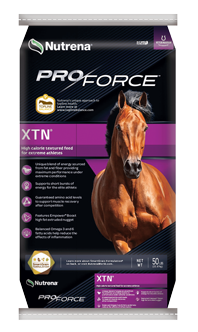 ProForce XTN Horse Feed